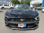 Thumbnail Photo 1 for 2018 Ford Mustang
